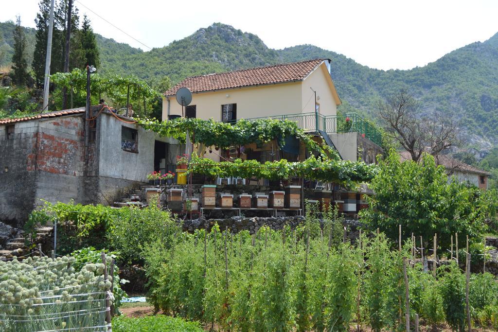 Guesthouse Feel Lake Virpazar Εξωτερικό φωτογραφία