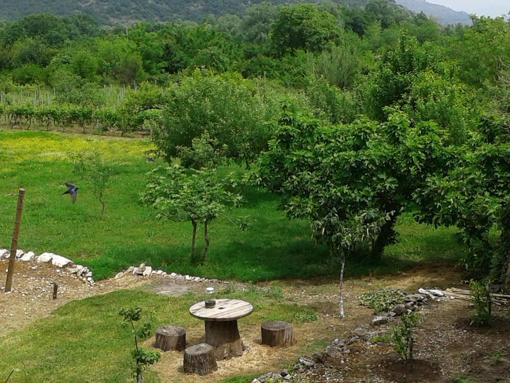 Guesthouse Feel Lake Virpazar Εξωτερικό φωτογραφία