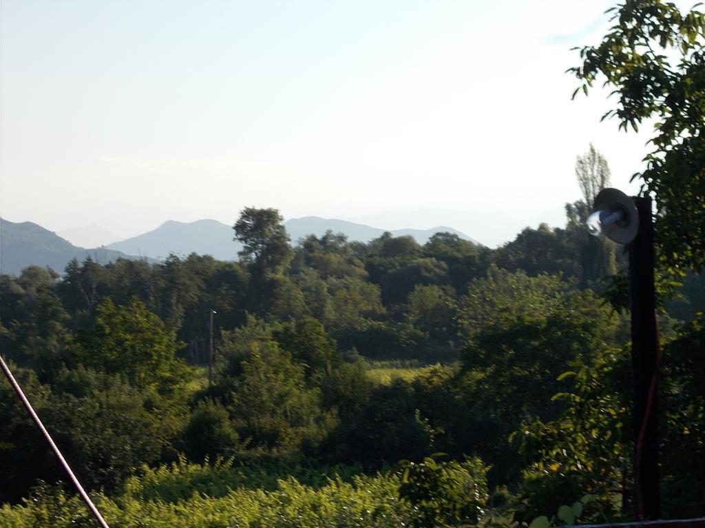 Guesthouse Feel Lake Virpazar Εξωτερικό φωτογραφία