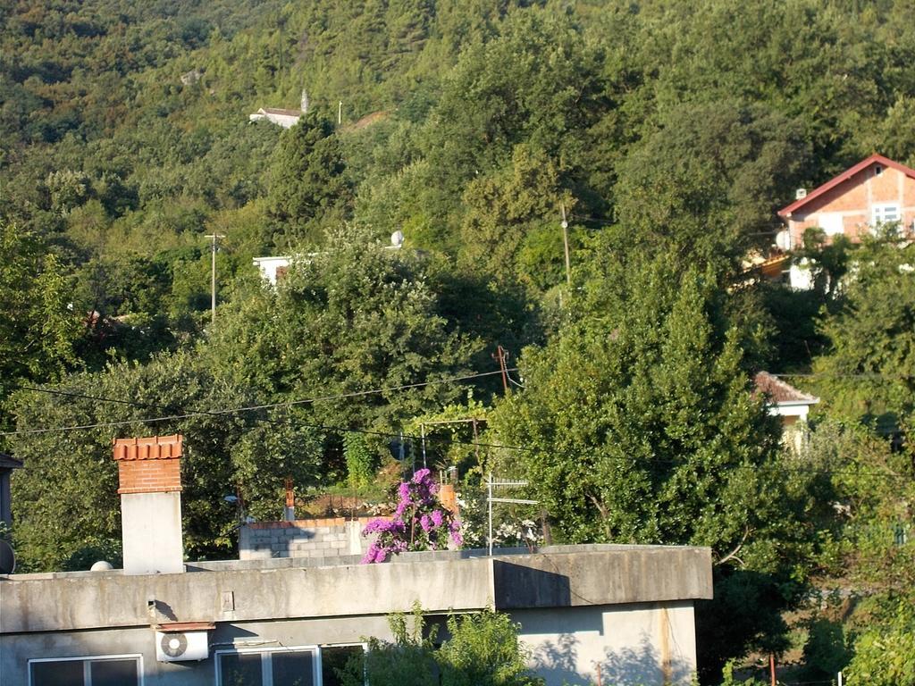 Guesthouse Feel Lake Virpazar Εξωτερικό φωτογραφία