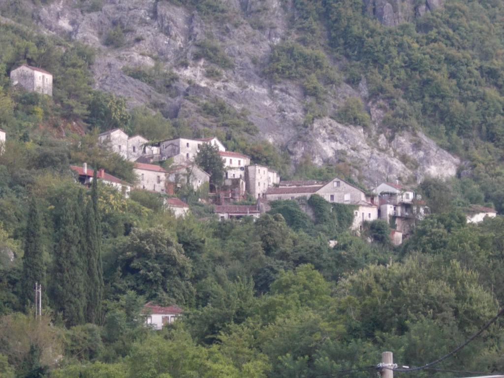 Guesthouse Feel Lake Virpazar Εξωτερικό φωτογραφία
