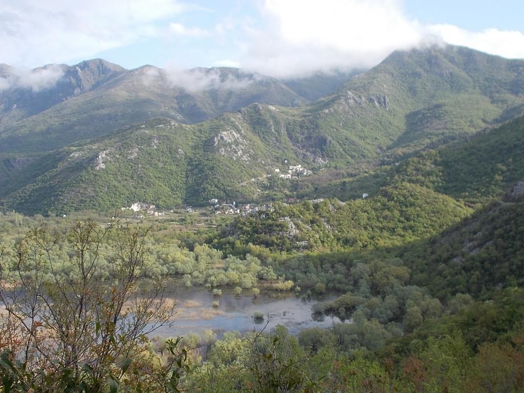Guesthouse Feel Lake Virpazar Εξωτερικό φωτογραφία